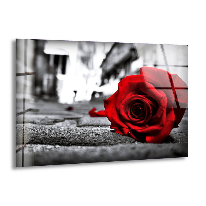 Red Rose Flower Glass Wall Art, print picture on glass, Tempered Glass Wall Art