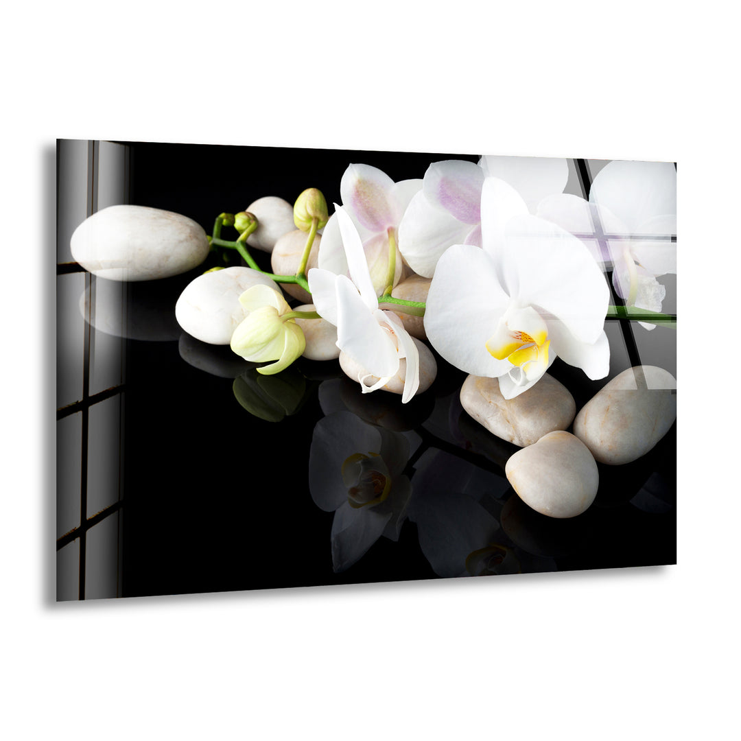 White Orchid Flower Glass Wall Art, print picture on glass, Tempered Glass Wall Art