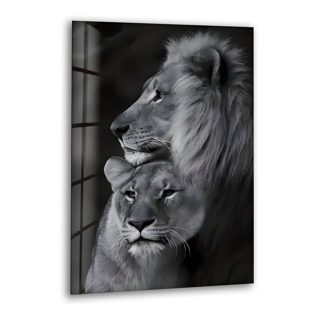 Black & White Lion Family Glass Wall Art print picture on glass, Tempered Glass Wall Art
