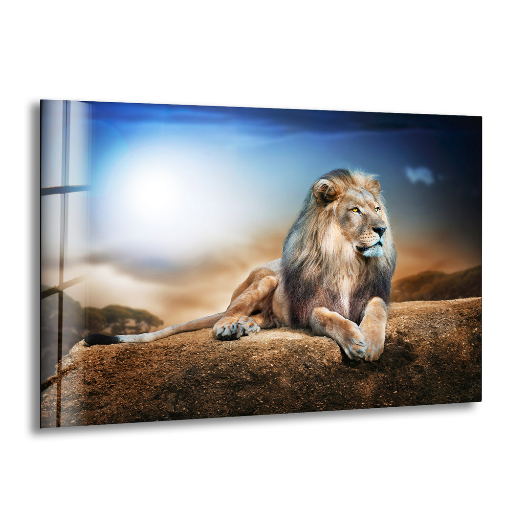 King Lion Laying Glass Wall Art photo print on glass, prints on glass wall art