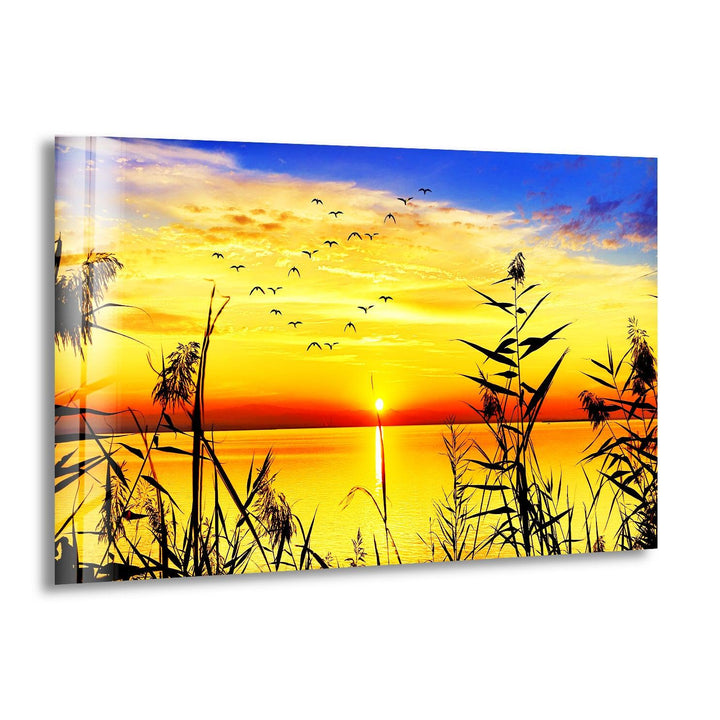 Grass Upon Water By Sunset Glass Wall Art