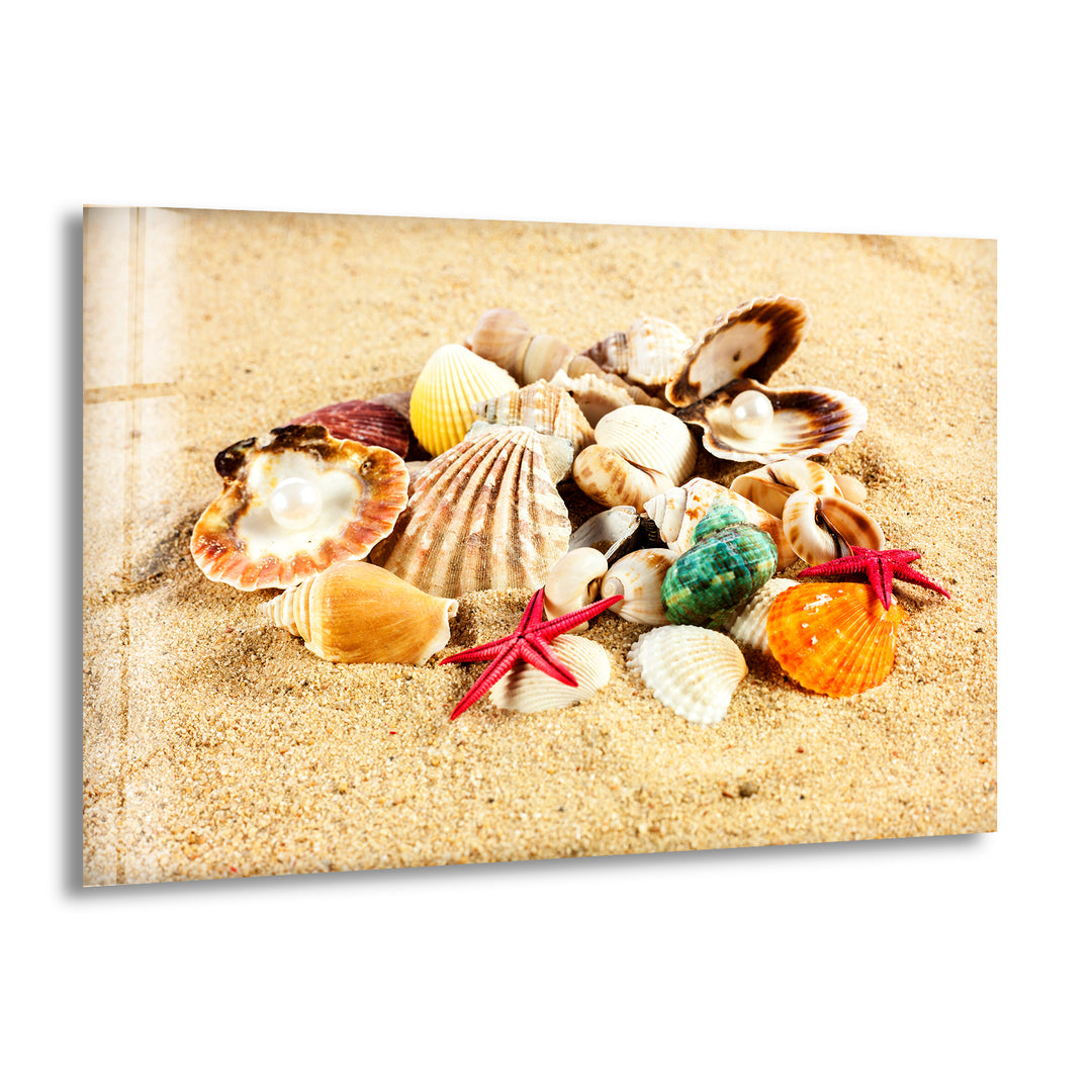 Sea Shell Beach Glass Wall Art glass art painting, glass art for the Wall