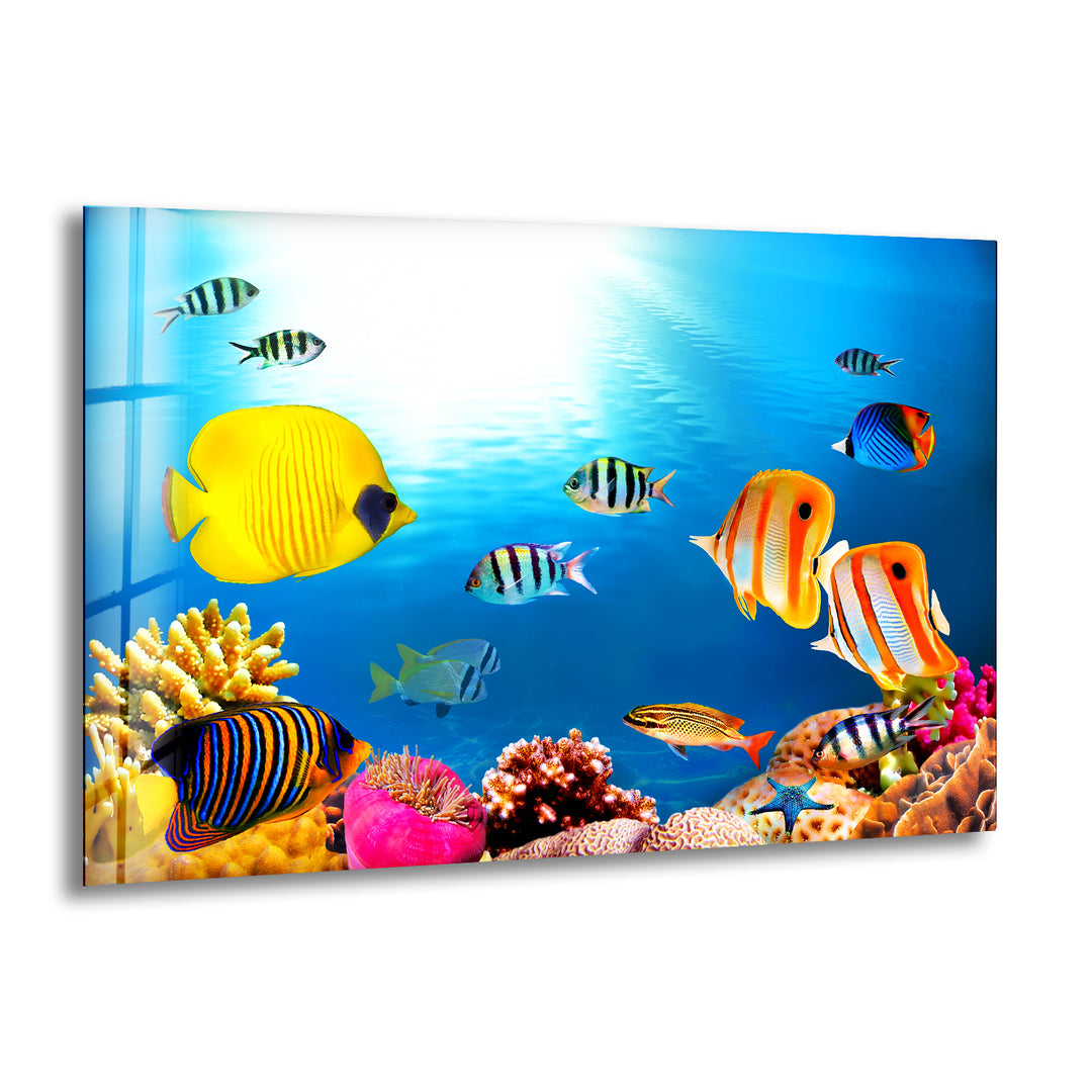 Tropical Fishes Glass Wall Art custom glass pictures, glass art prints