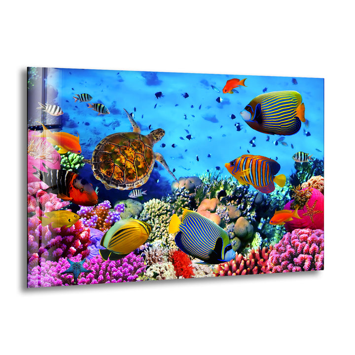 Underwater Animals Glass Wall Art print picture on glass, Tempered Glass Wall Art