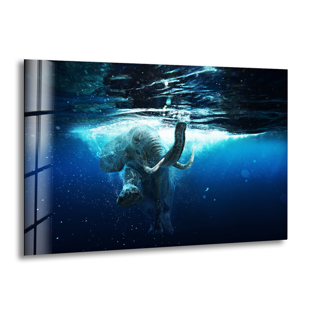 Swimming Elephant Glass Wall Art picture on glass wall art, photos printed on glass