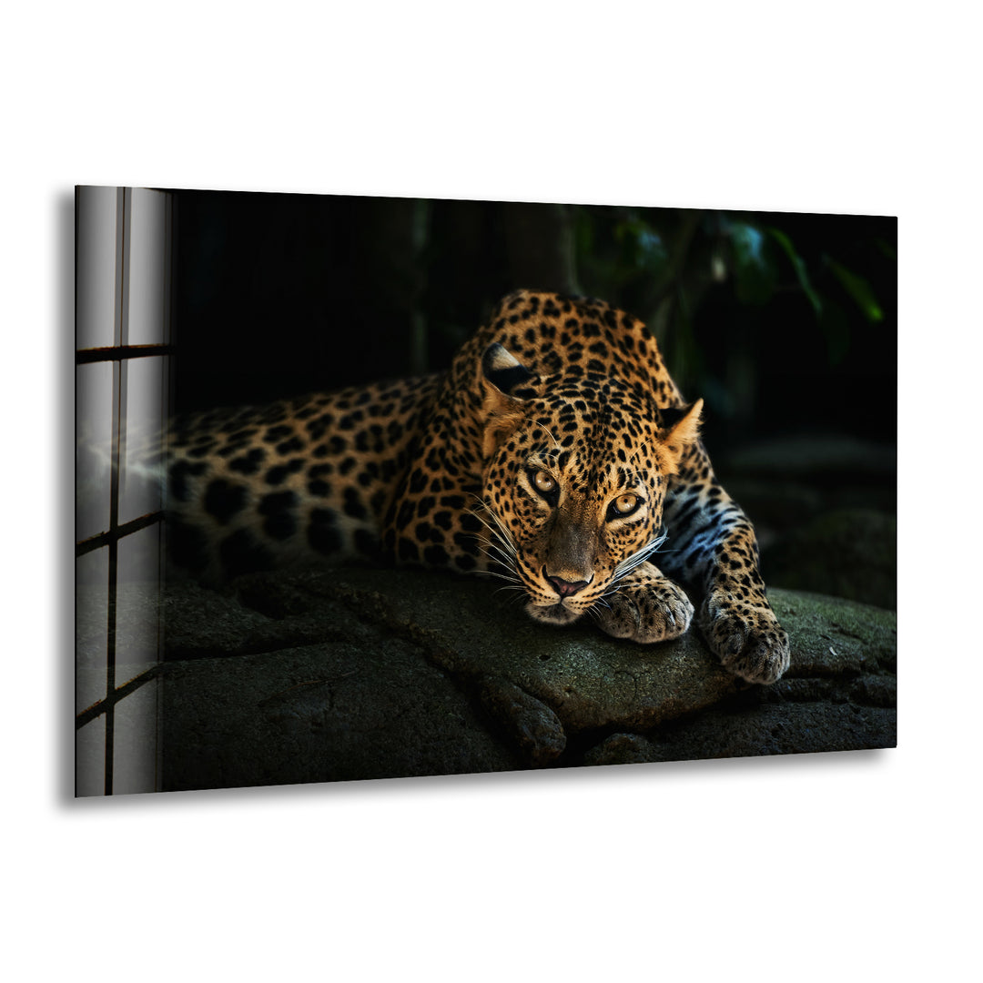 Fierce Leopard Glass Wall Art glass art painting, glass art for the Wall