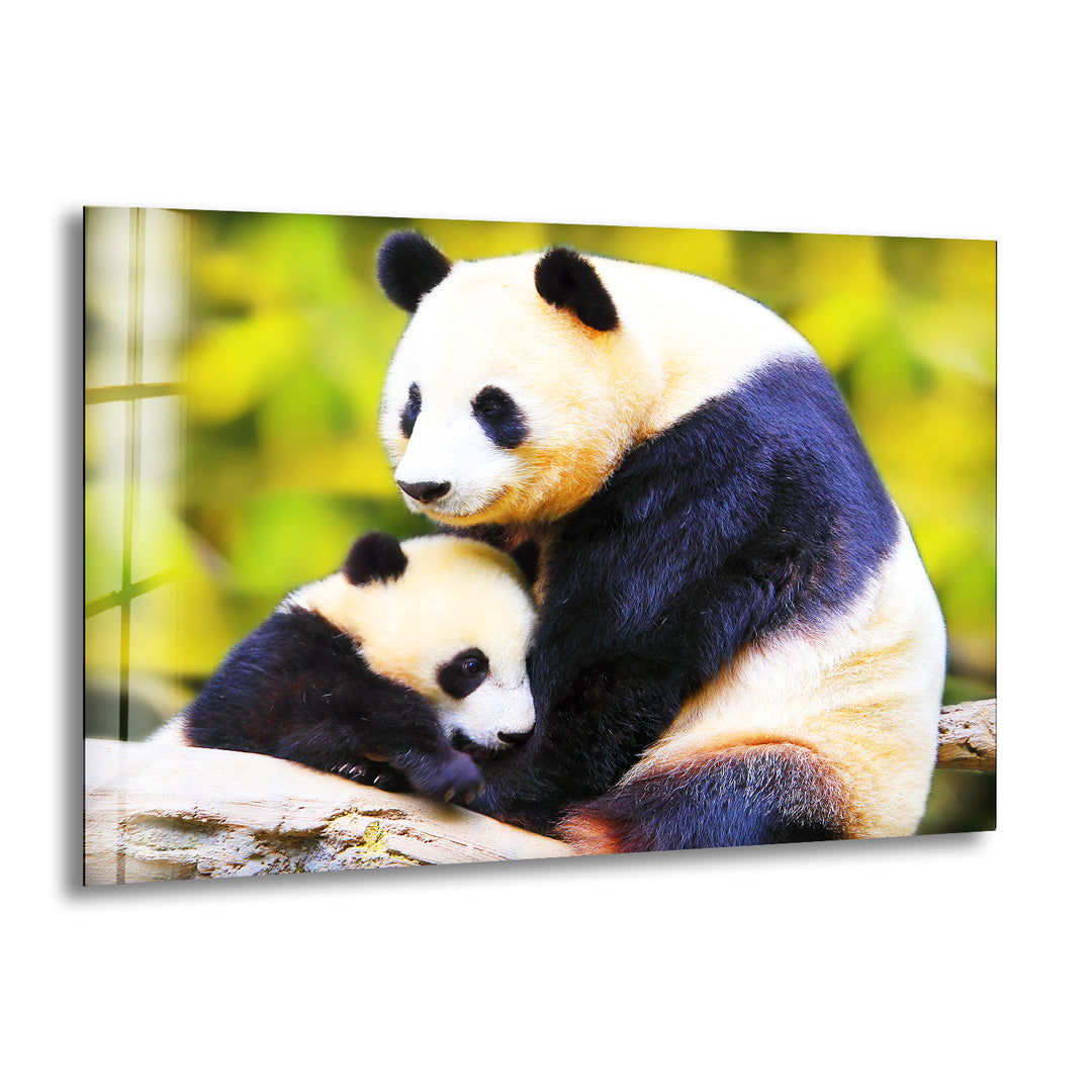 Panda Family Glass Wall Art picture on glass wall art, photos printed on glass