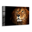 Wild Life Lion Tempered Glass Wall Art