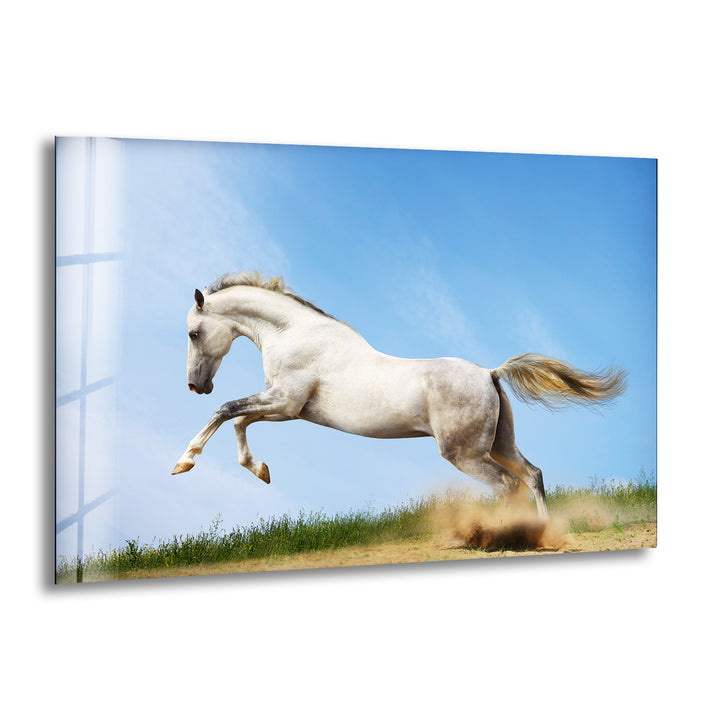 Running White Horse Glass Wall Art photo print on glass, prints on glass wall art