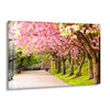 Spring View Tempered Glass Wall Art