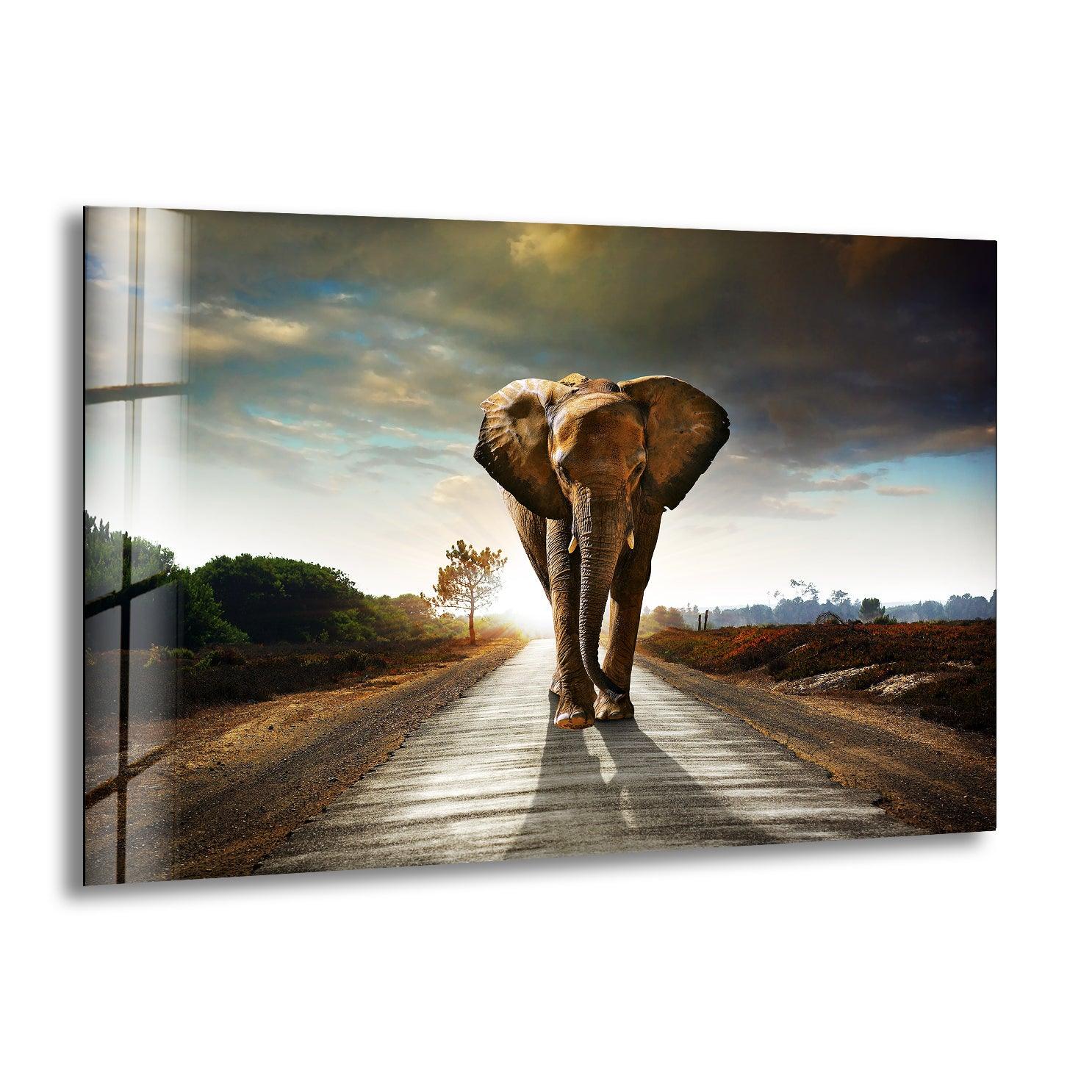 Vivid Elephant Art Glass Wall Art art glass wall art, glass wall art pictures