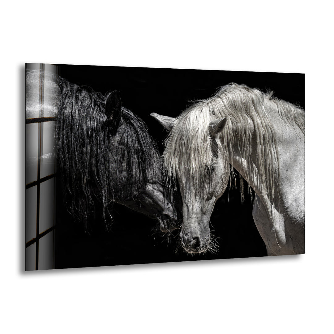 Africa Couple Horse Wall Art custom glass pictures, glass art prints