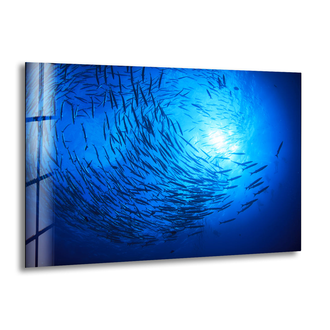 Under Ocean Fishes Glass Wall Art glass photo prints, glass picture prints