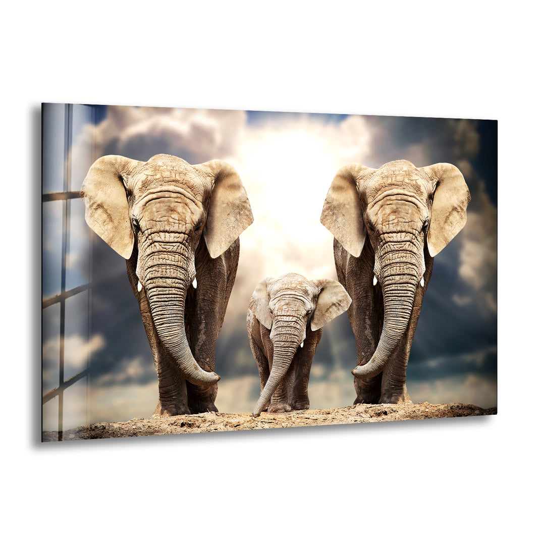 Safari Elephant Family Glass Wall Art large glass photo prints, glass wall photos