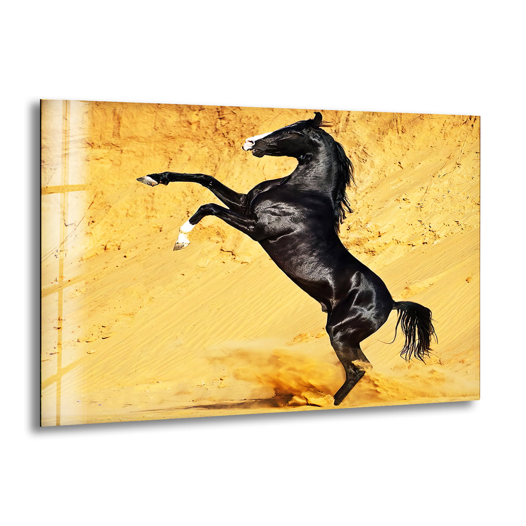 Black Horse on Desert Glass Wall Art custom glass photo prints, large glass prints