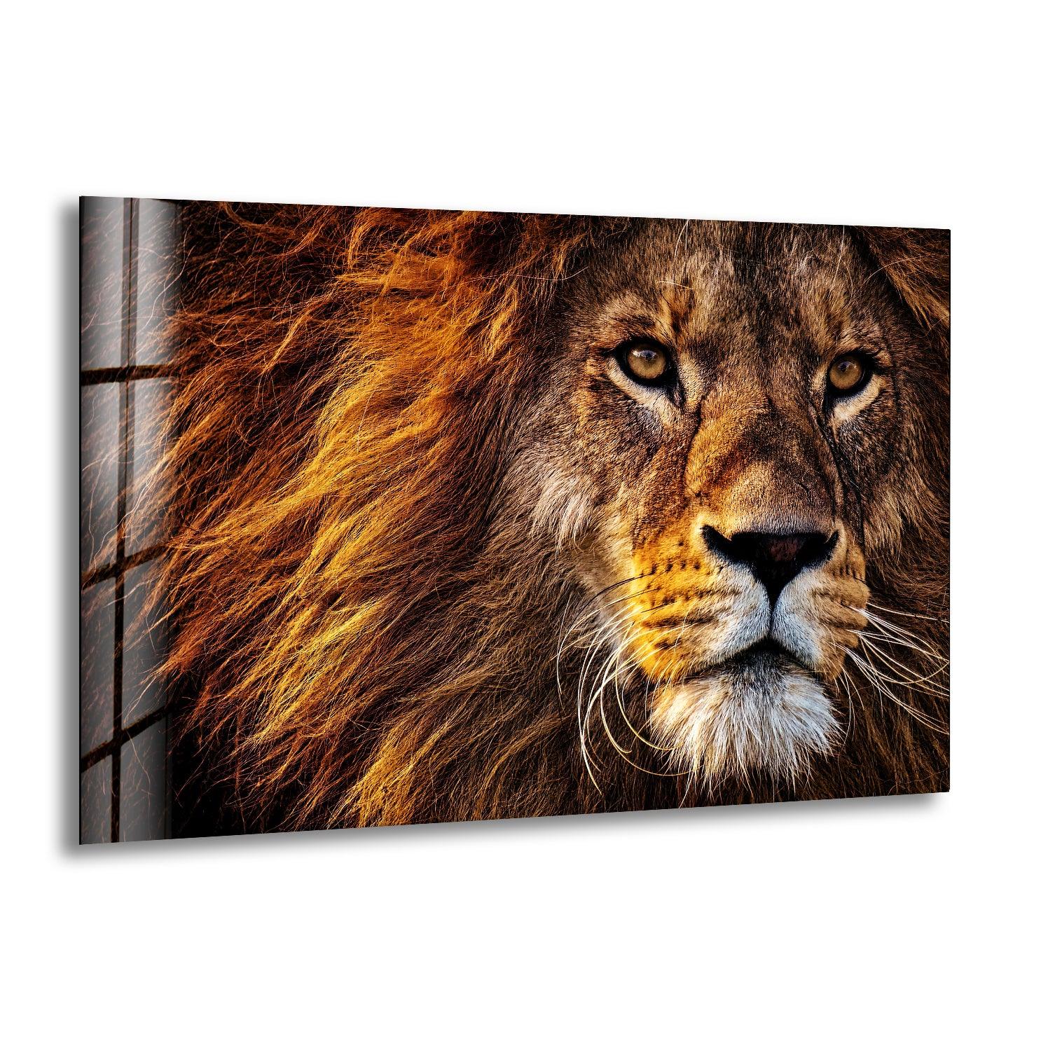 Limited Edition Lion shops painting - Lion on Table Mountain - lion print, lion wall art, tropical decor, large canvas print