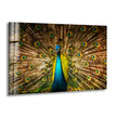 Peacock Feather Tempered Glass Wall Art