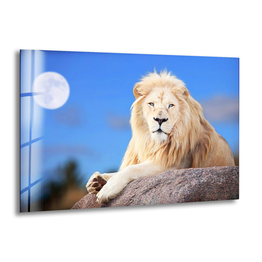 White Lion Sitting Glass Wall Art glass pictures for Wall, glass prints wall art