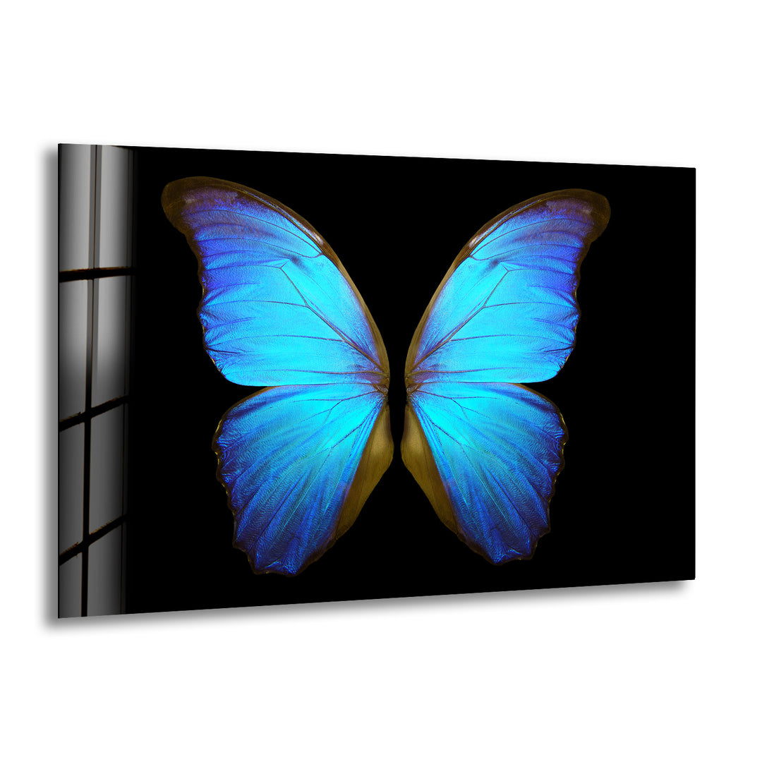 Blue Butterfly Glass Wall Art glass pictures for Wall, glass prints wall art