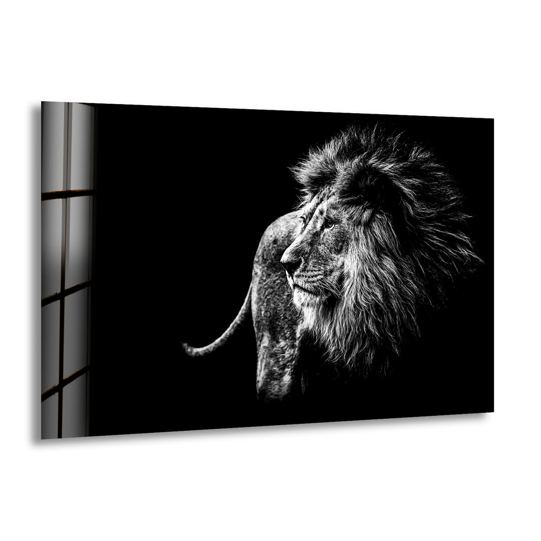 Black White Wild Animal Glass Wall Art picture on glass wall art, photos printed on glass