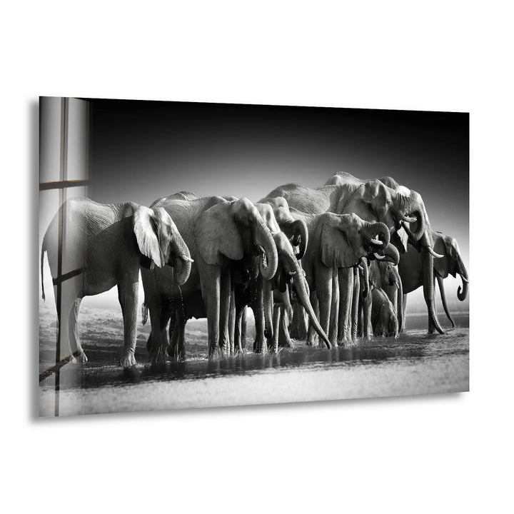 Elephant Group Glass Wall Art custom glass photo prints, large glass prints