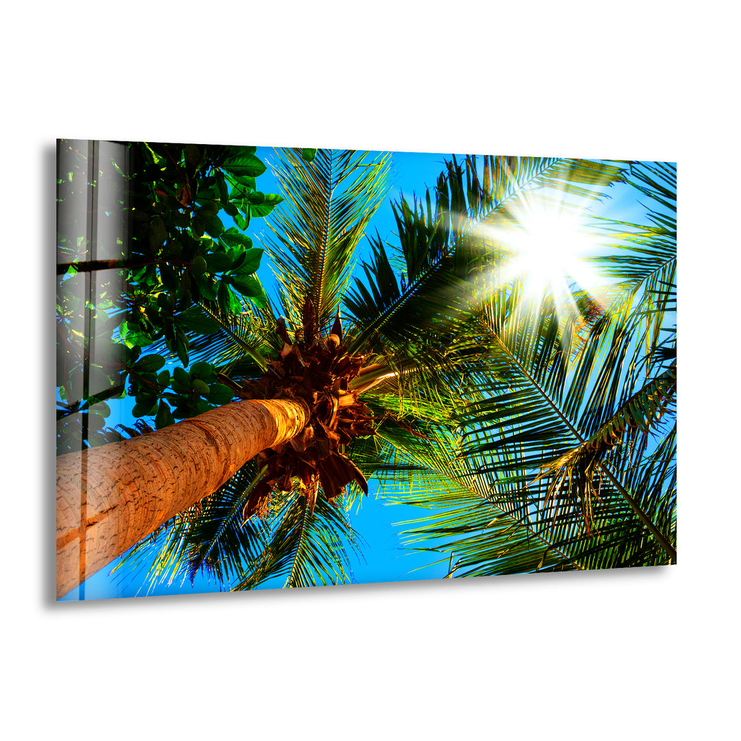 Palm Trees On A Sunny Glass Wall Art glass pictures for Wall, glass prints wall art