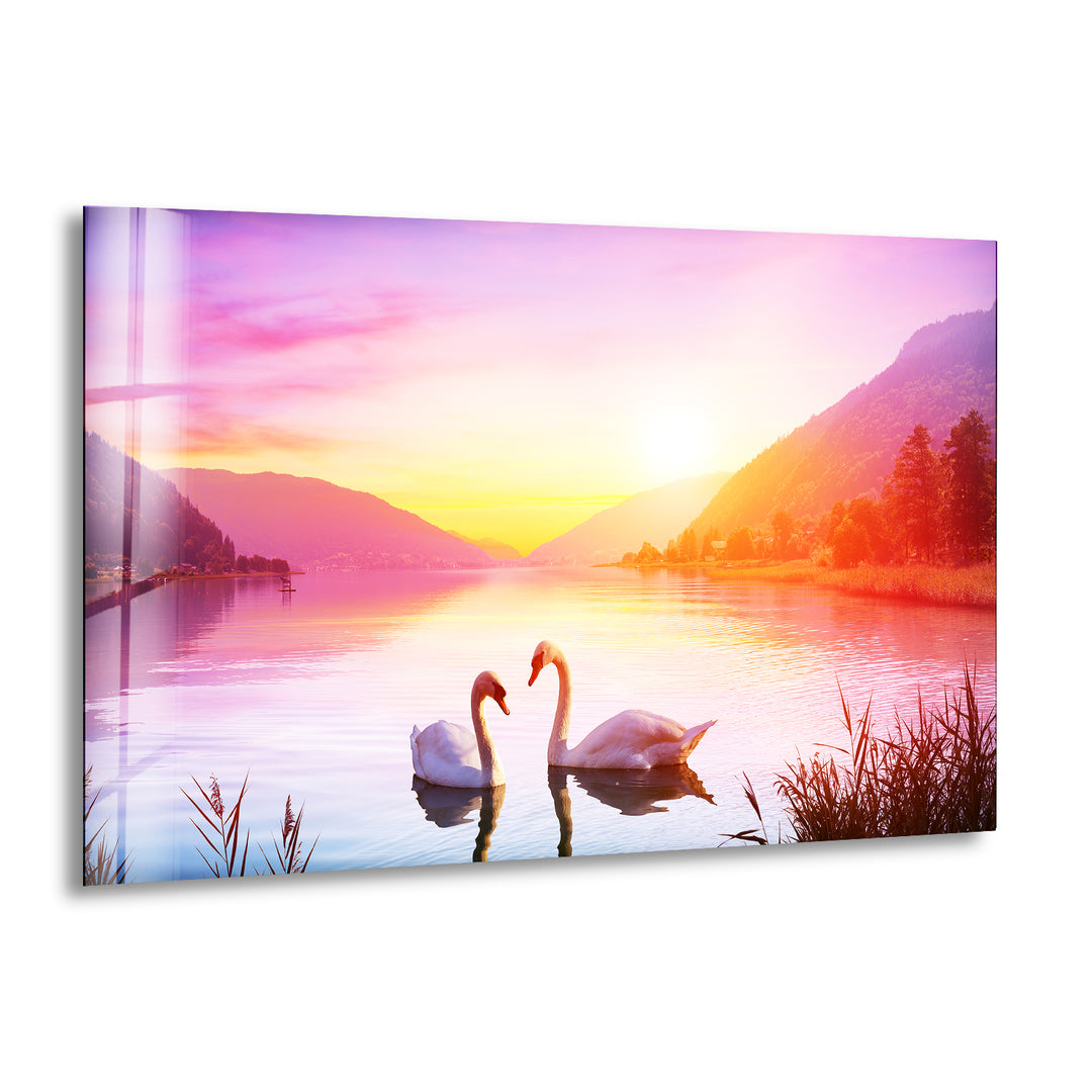 Swan Sunset Glass Wall Art custom glass pictures, glass art prints