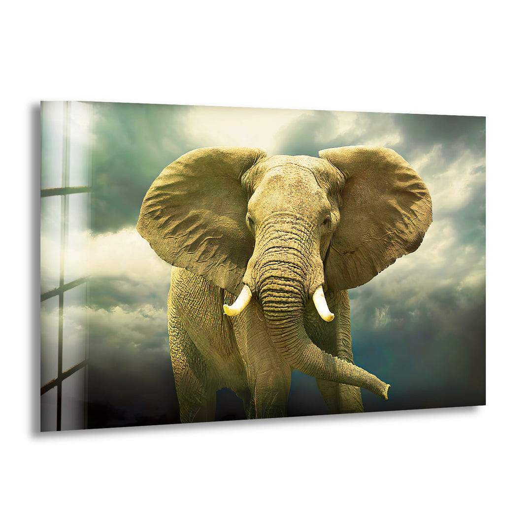 Savannah Elephant Glass Wall Art custom glass pictures, glass art prints