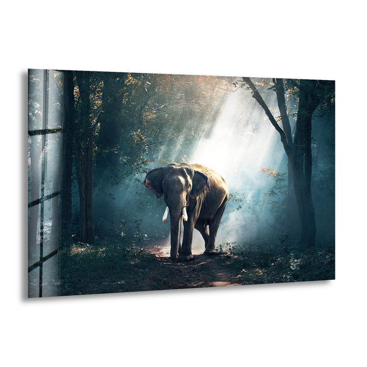 Elephant in Nature Glass Wall Art print picture on glass, Tempered Glass Wall Art