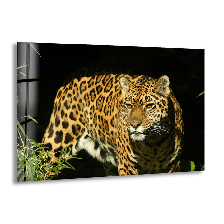 Amur Leopard Glass Wall Art             glass wall decor, glass wall art decor