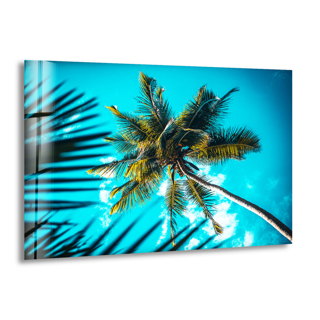 Green Palm Tree Glass Wall Art print picture on glass, Tempered Glass Wall Art