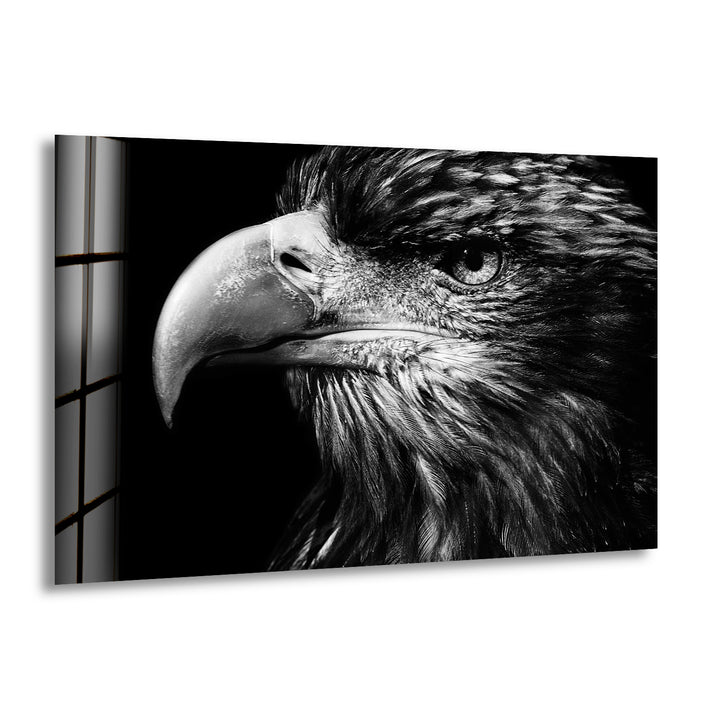 Eagle Portrait Glass Wall Art glass photo prints, glass picture prints