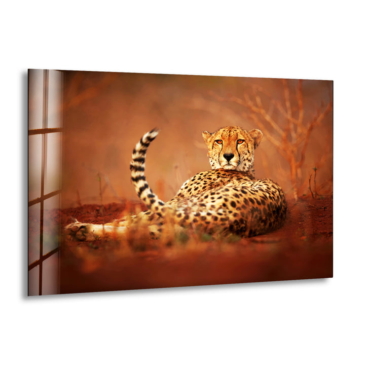 Cheetah in The Savanna Glass Wall Art picture on glass wall art, photos printed on glass