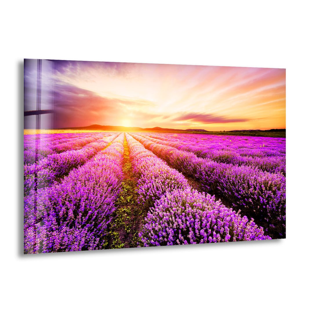 Lavender Field Sunrise Glass Wall Art print picture on glass, Tempered Glass Wall Art 