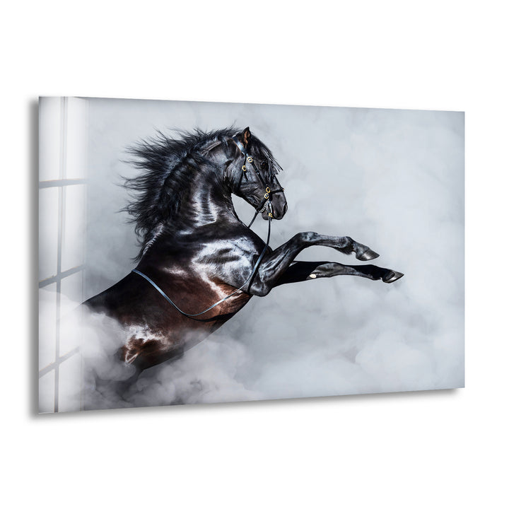 Imposing Horse Glass Wall Art custom glass photo prints, large glass prints