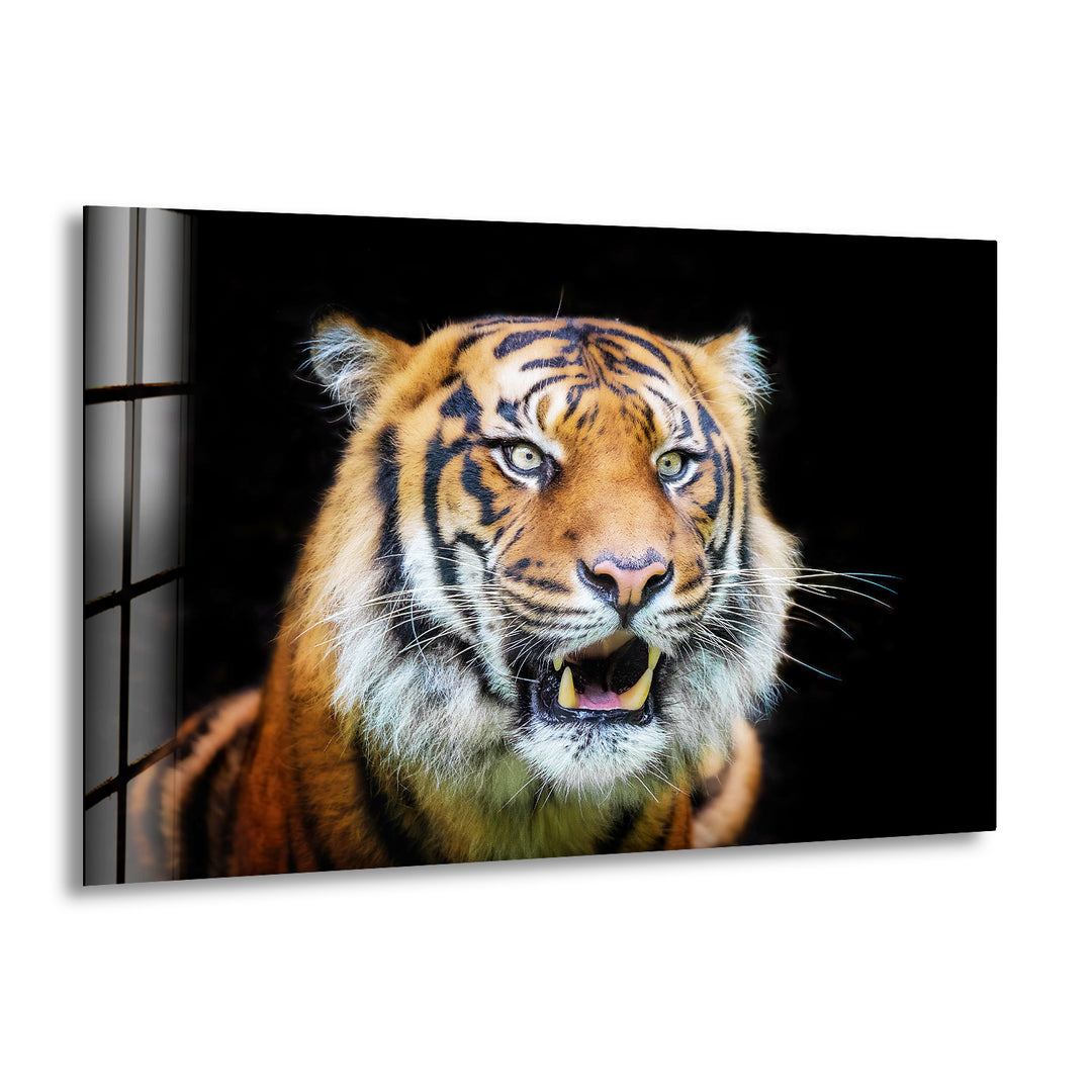 Sumatran Tiger Glass Wall Art glass pictures for Wall, glass prints wall art