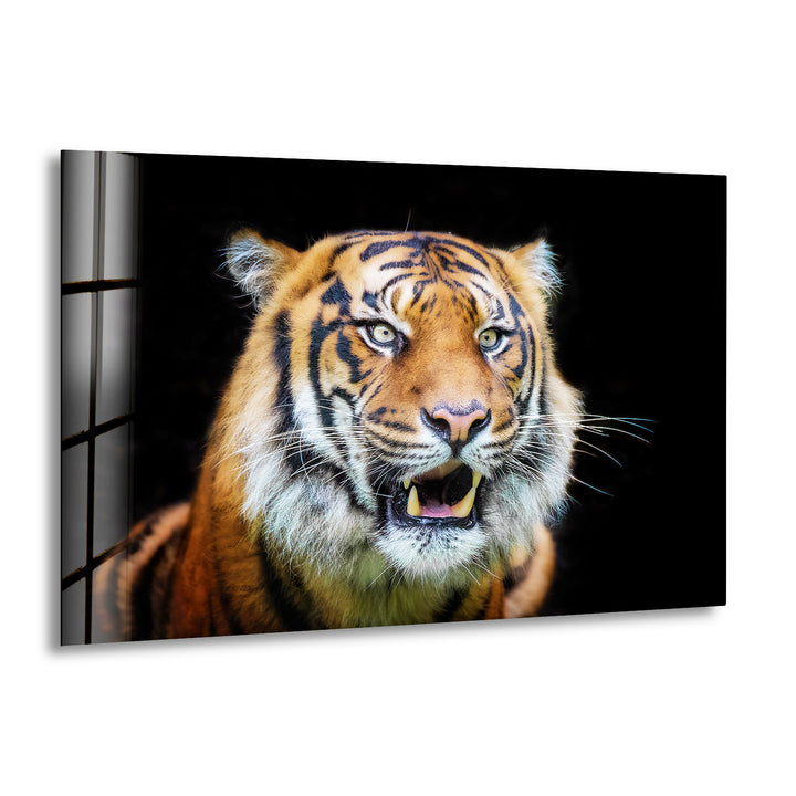 Sumatran Tiger Glass Wall Art glass pictures for Wall, glass prints wall art