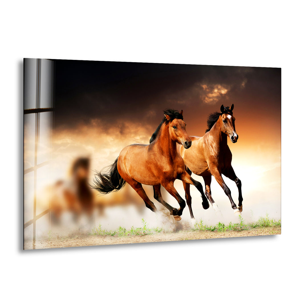 Wild Horses Running Glass Wall Art glass image printing, glass prints from photos