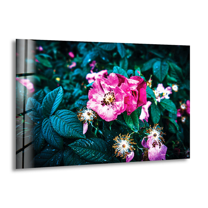 Pink Wild Rose Glass Wall Art, print picture on glass, Tempered Glass Wall Art

