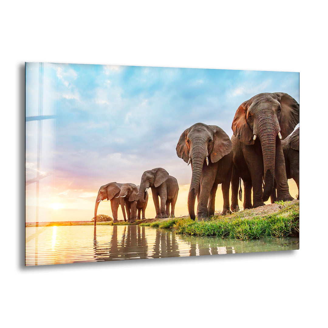 Safari Elephant Group Glass Wall Art photo print on glass, prints on glass wall art