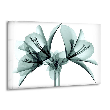 Xray Flower Glass Wall Art