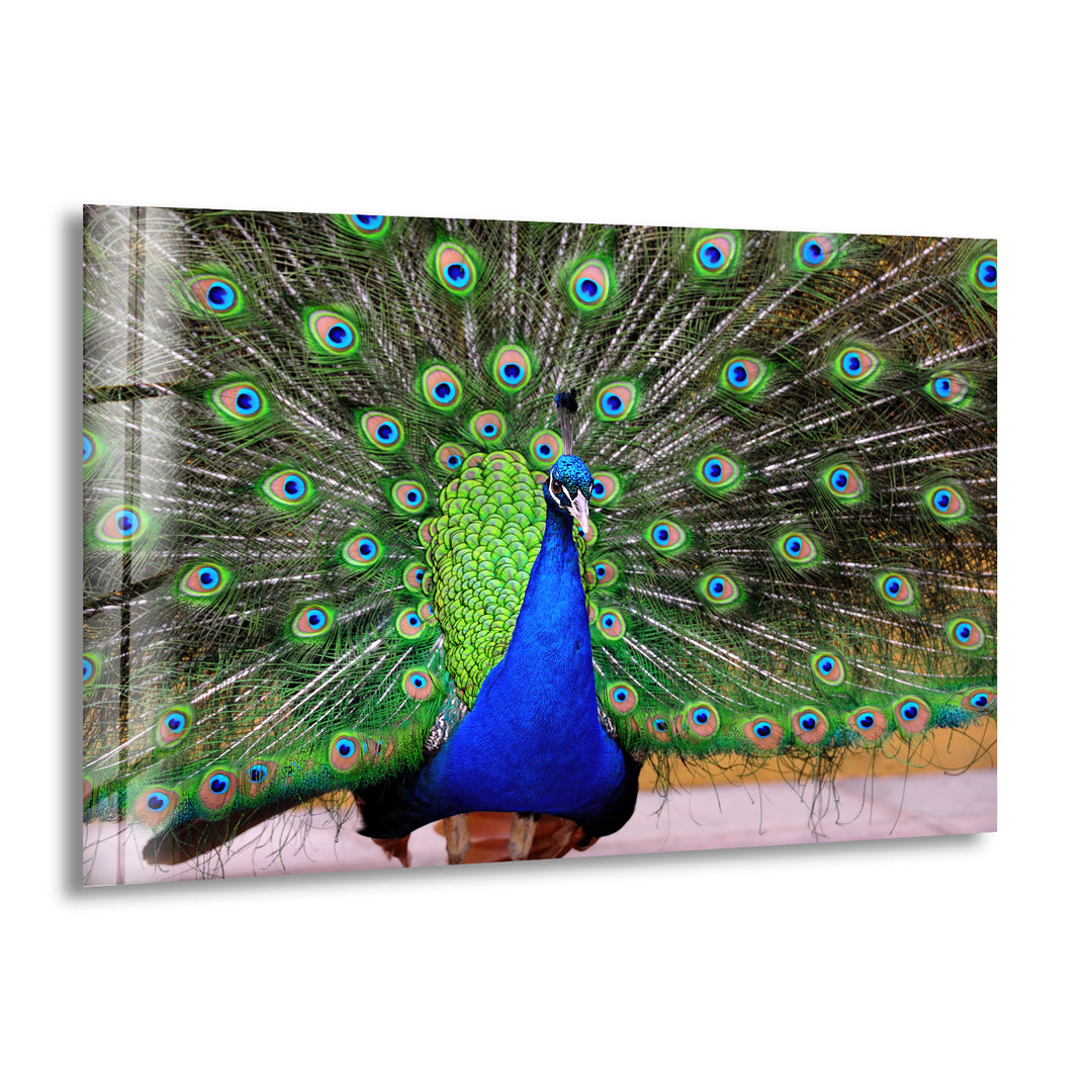 Peacock Feather Art Glass Wall Art stained glass wall art, stained glass wall decor