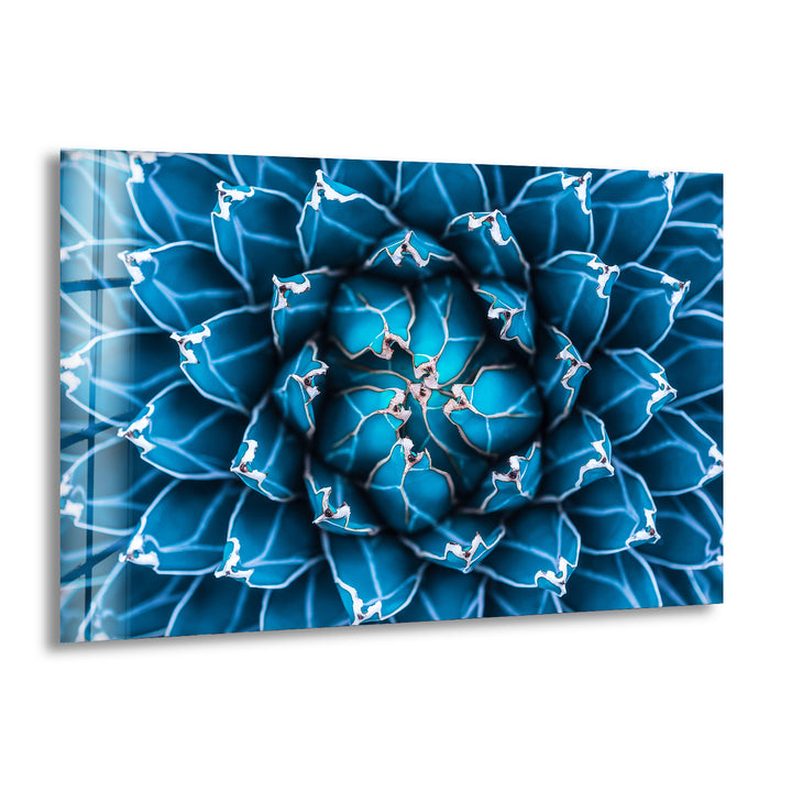 Dark Blue Agave Cactus Stunning Glass Art Paintings for Living Rooms