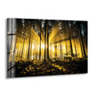 Forest Autumn View Glass Wall Art