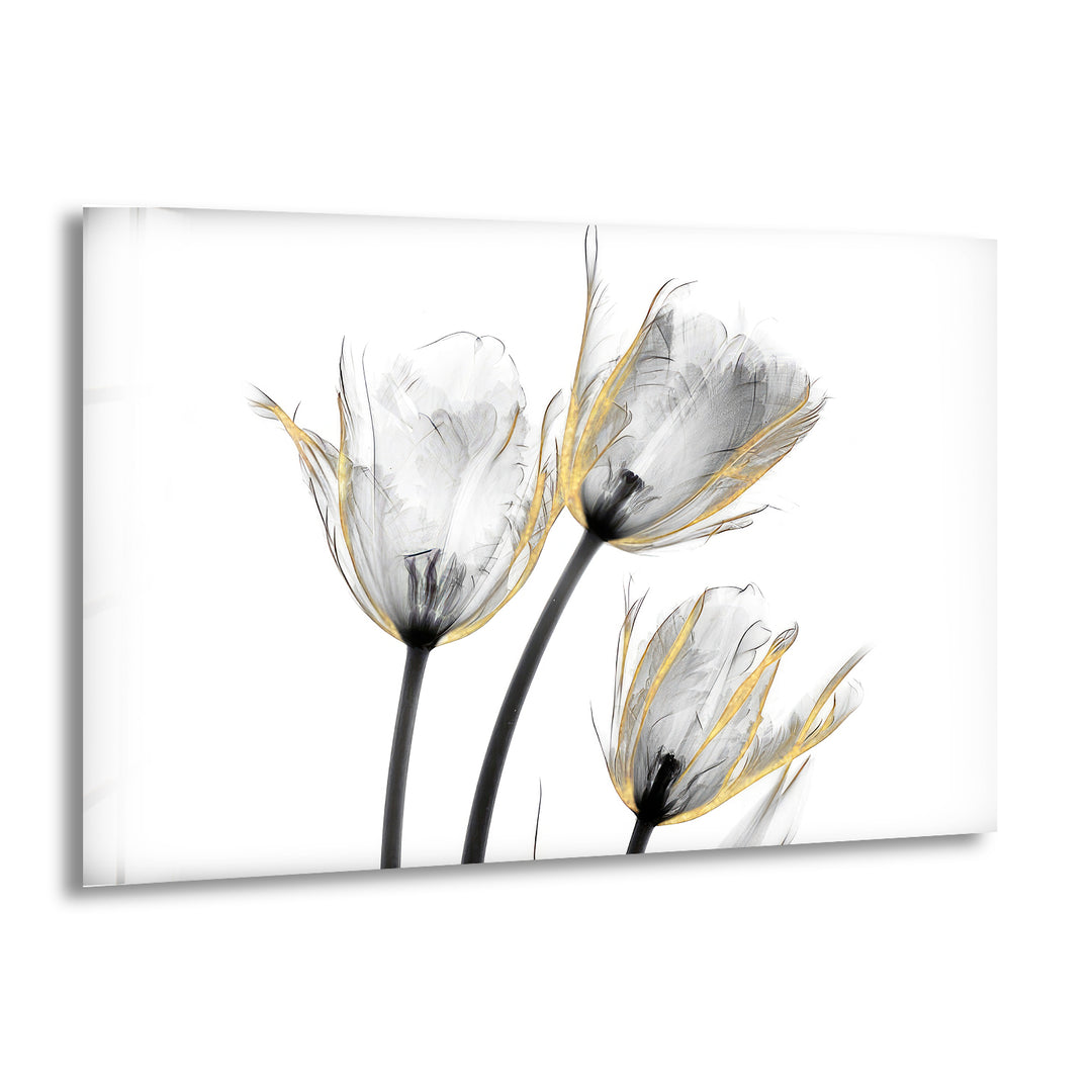 Albert Koetsier Gold Embellished Tulips Glass Wall Art, print picture on glass, Tempered Glass Wall Art