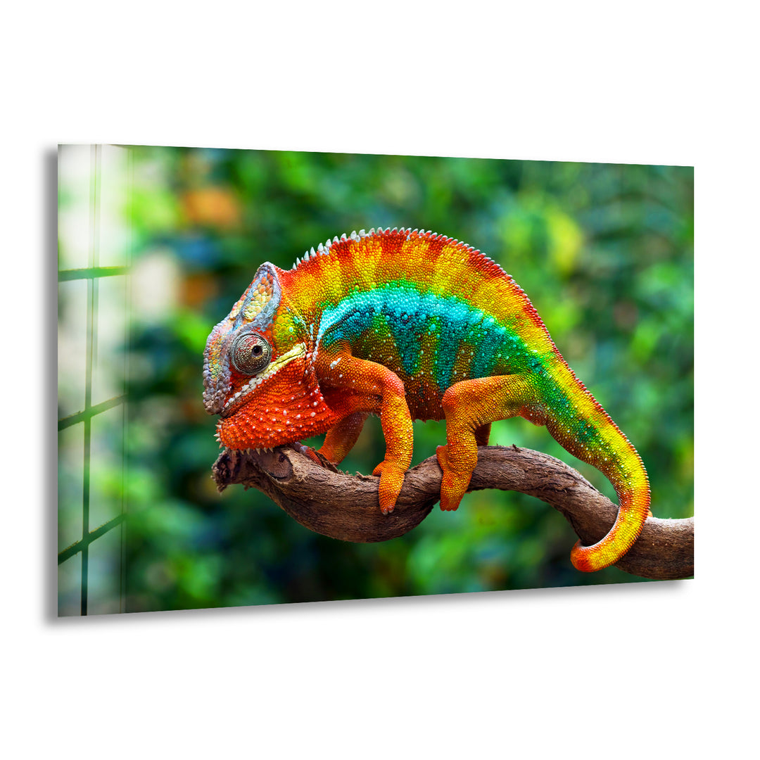 Vibrant Chameleon Glass Wall Art art glass wall art, glass wall art pictures