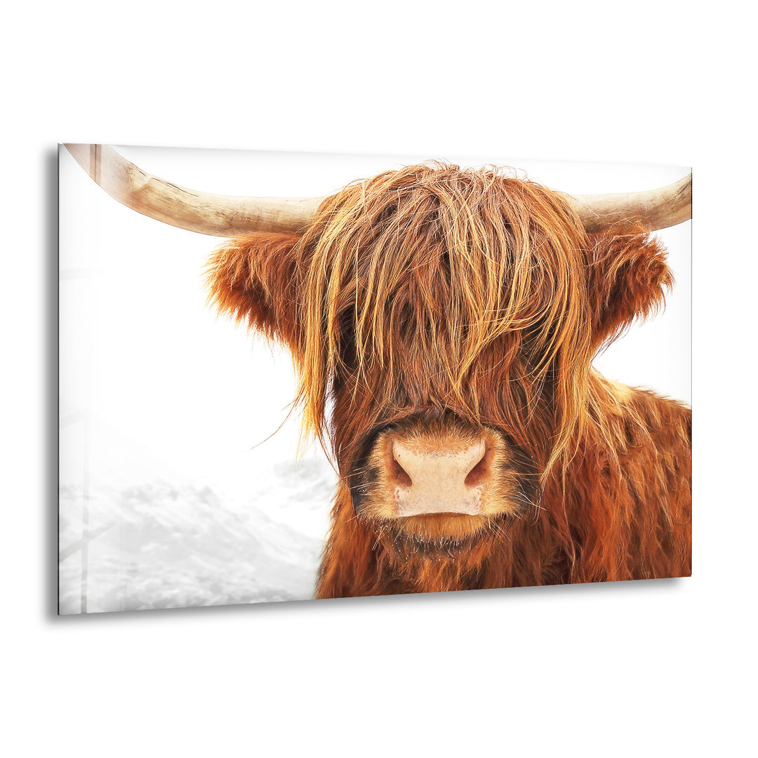 Highland Scotland Cow Glass Wall Art stained glass wall art, stained glass wall decor