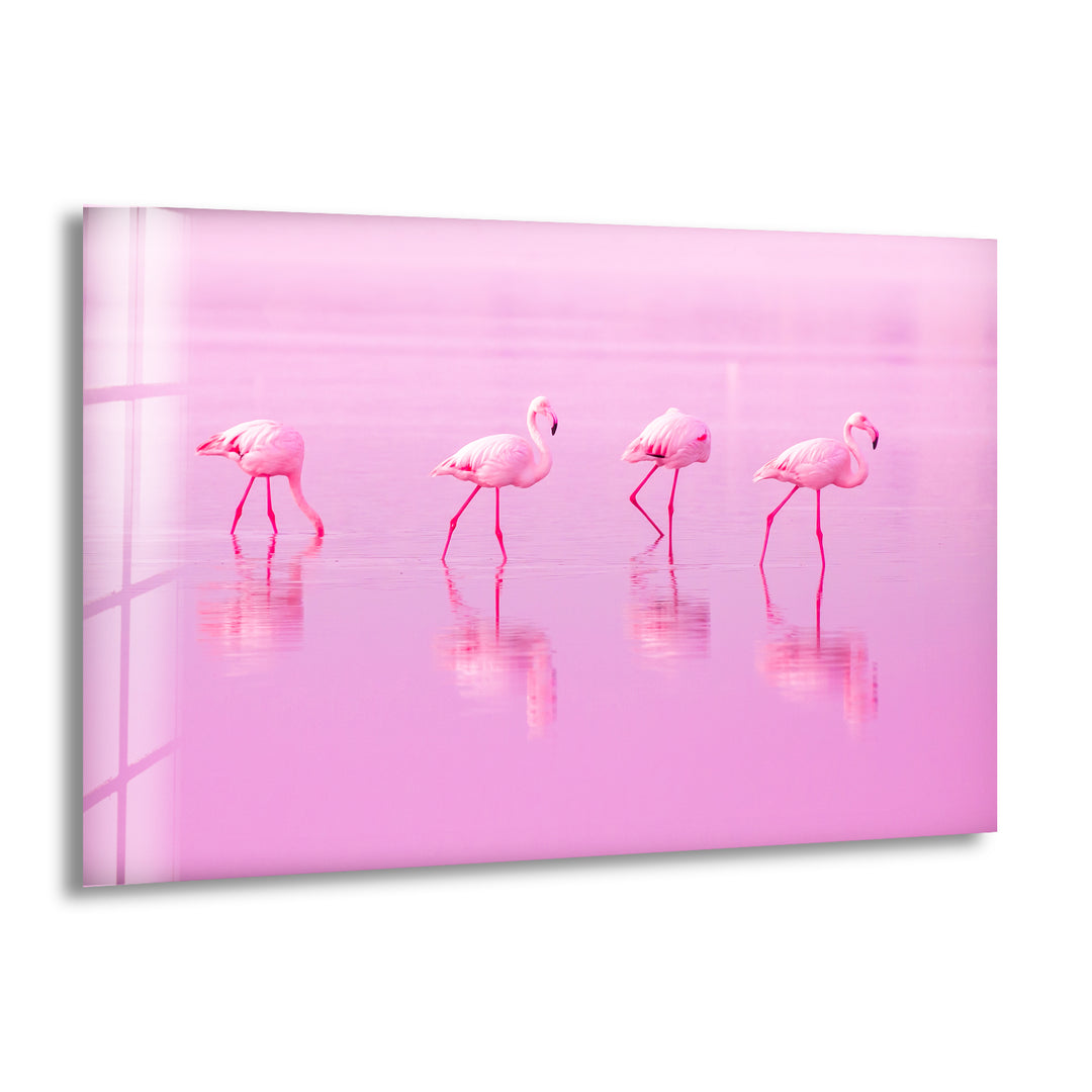 Pink Flamingos Glass Wall Art custom glass photo prints, large glass prints