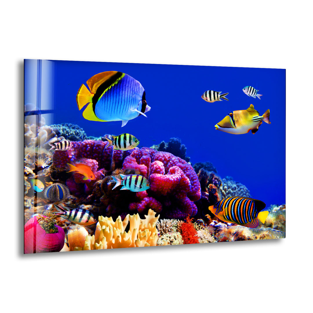 Tropical Aquarium Glass Wall Art print picture on glass, Tempered Glass Wall Art