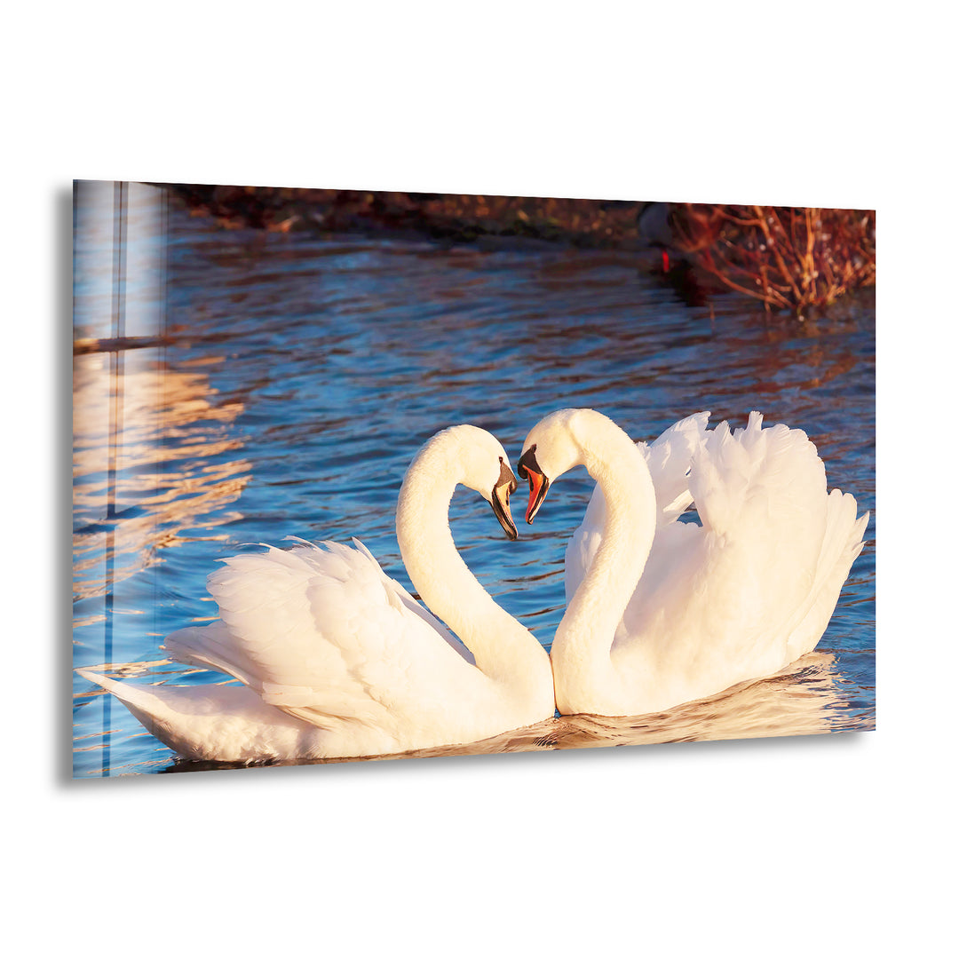 Heart of Swans Glass Wall Art glass image printing, glass prints from photos